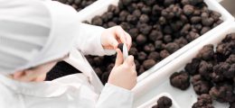 Manjares de la Tierra, la trufa de Sarrión que ya se exporta a 20 países